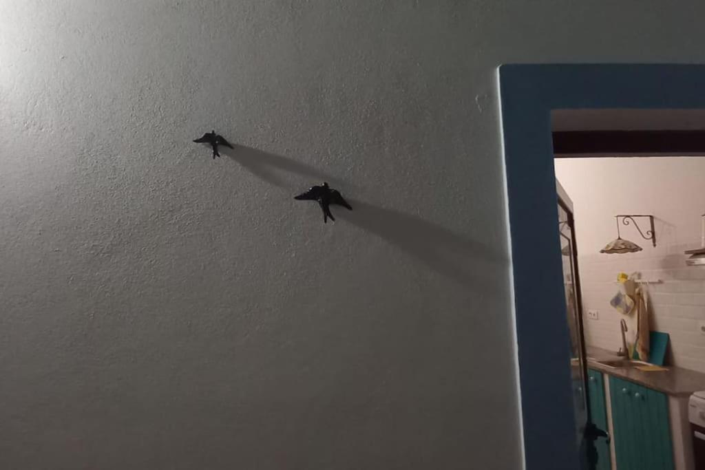 Casa Margarida Villa Albernoa Dış mekan fotoğraf